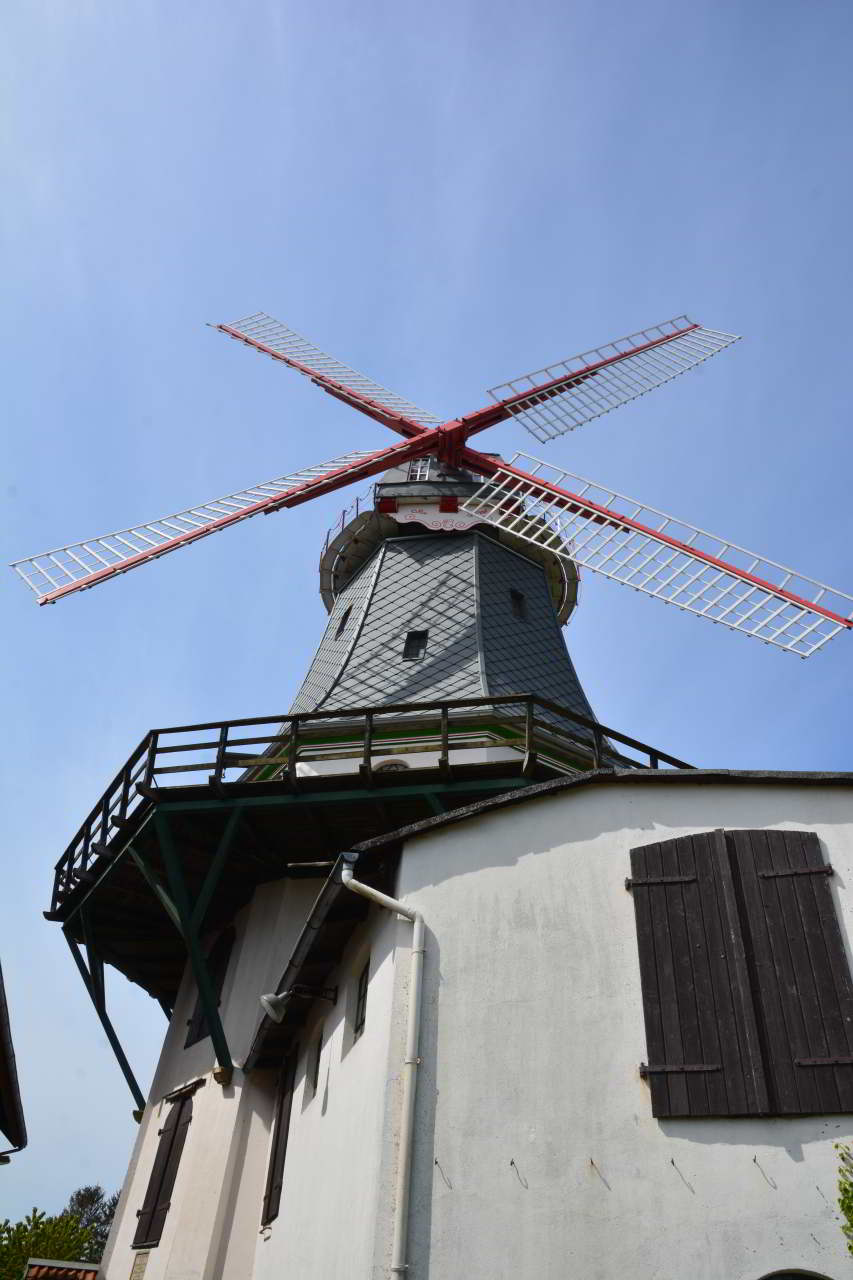 Windmühle 